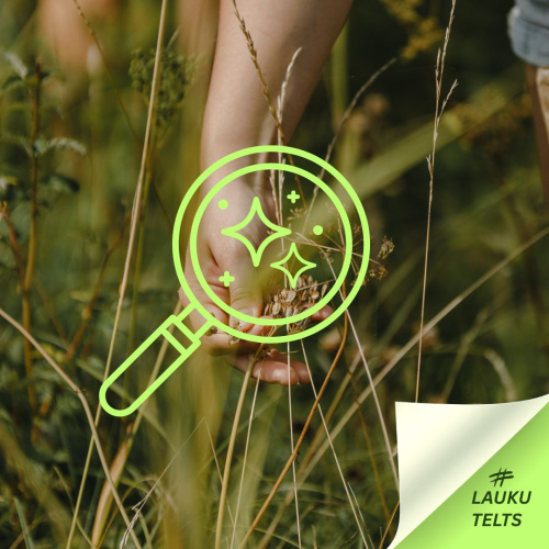 Ar Lupas palīdzību cen&scaron;as saskatīt pļavas augu, kuru aizskārusi augu.