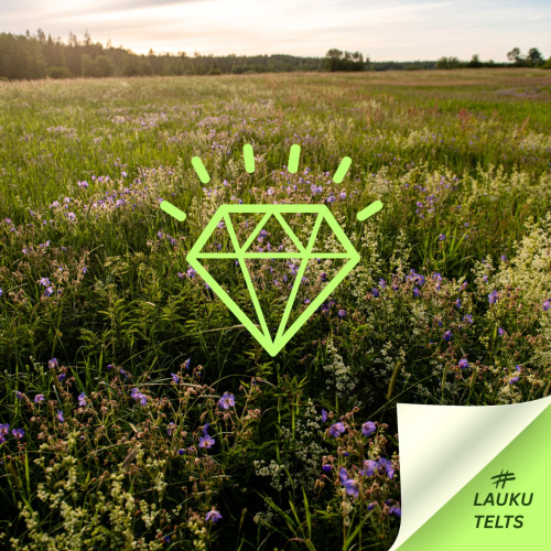 Ziedo&scaron;a pļava kā dārgums, bagātība.