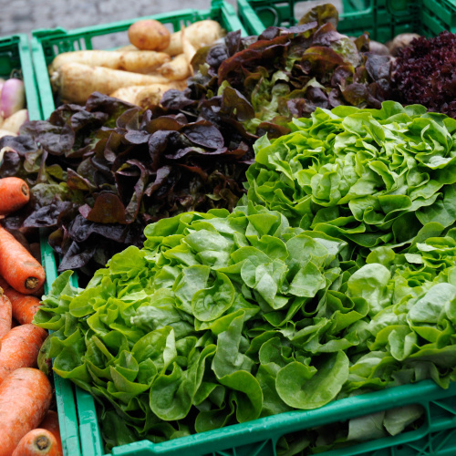 Zaļās plastmasas kastēs sakārtoti svaigi dārzeņi &mdash; burkāni, rāceņi, rutki, dažādu veidu lapu salāti un zaļumi.