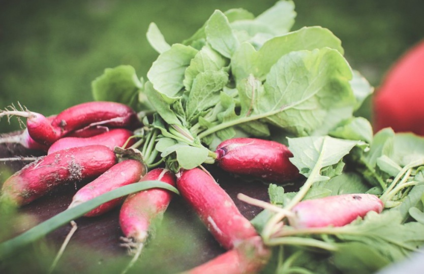 Tie&scaron;ā pirk&scaron;ana un sarunas ar zemniekiem