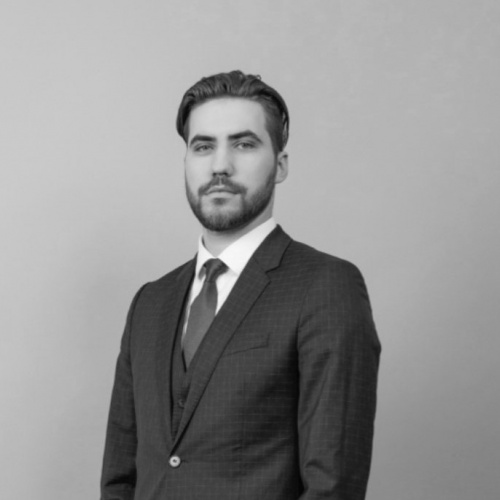 Dāvis Mārtiņ&scaron; Daugavietis