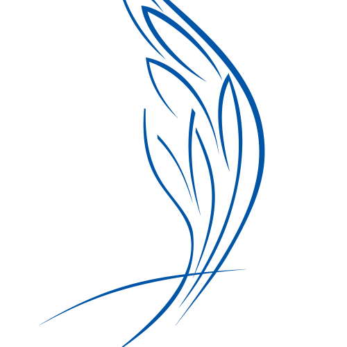 Onkoloģisko pacientu atbalsta biedrība &bdquo;Dzīvības koks&rdquo;