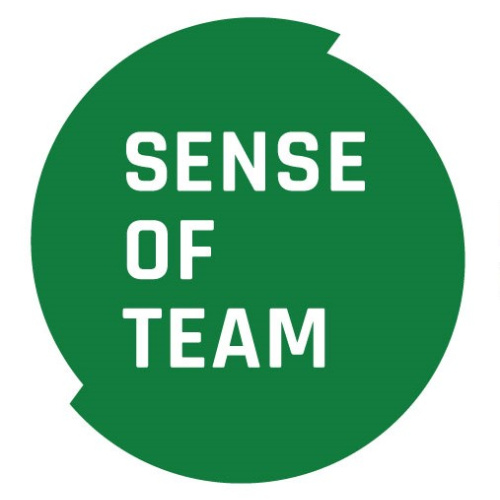Sense of Team
